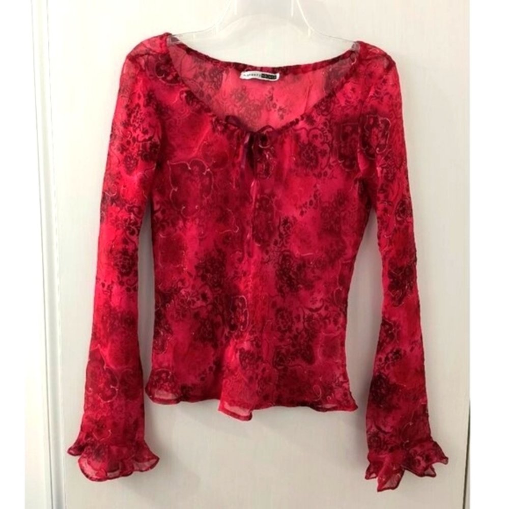 Vintage ‘99 Red Fairy Grunge Sheer Whimsigoth Floral Top - Juniors Medium